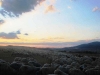 Lugares